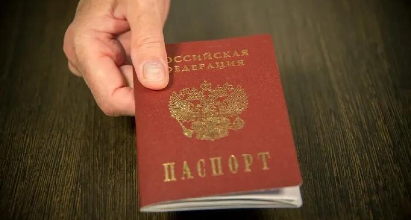 Иностранку лишили российского гражданства за оскорбления военных в мессенджере