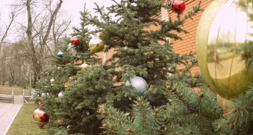 Ветер изменит ощущение холода на Кубани в новогодние дни