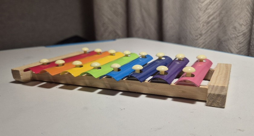 16-летний подросток получил три удара ксилофоном в лагере на Сахалине