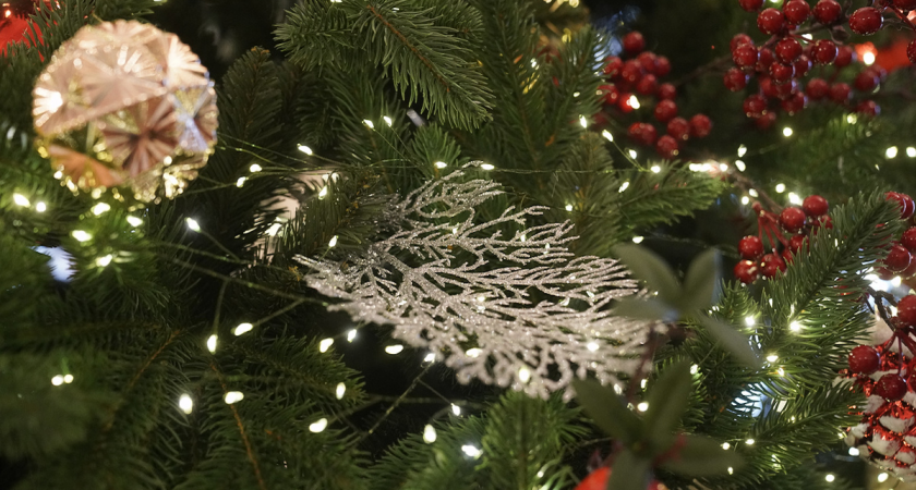 Депутат Вихарев устроил новогодний праздник для детей хосписа с мастер-классами и аквагримом