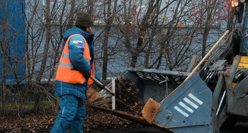 Петербург запустил пилот: индийские дворники убирают Приморский район
