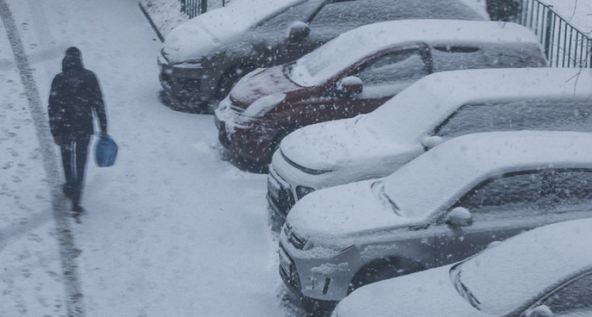 В Подмосковье температура упала до -23,7°: морозы на 8 градусов выше нормы