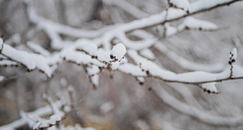 Якутия парализована: морозы достигли -56°, ожидается -60°