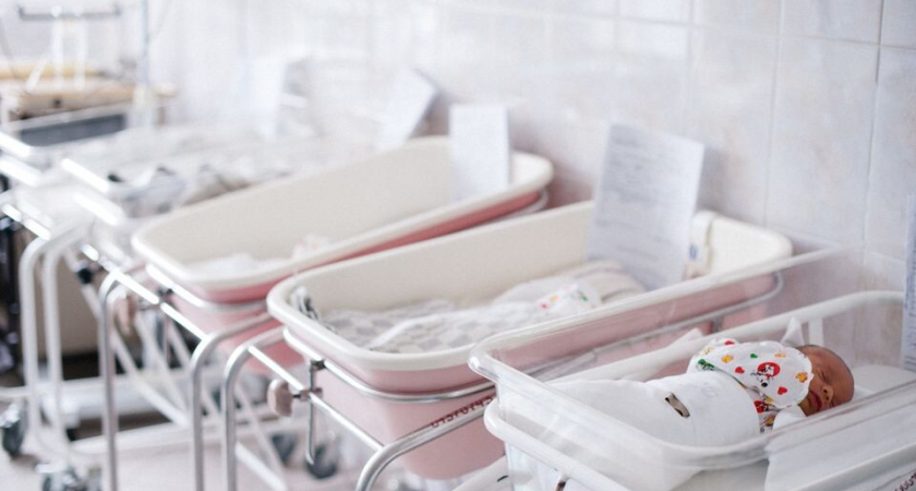 28-летняя из Подмосковья ищет клинику для ЭКО от Павла Дурова