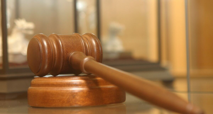 Люберчанка приговорена к 15 годам за контакты с запрещенным «Легионом Свободы»