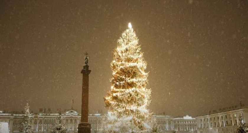 Беглов защитил 30-метровую ёлку: «Пусть критики сами помогают украшать»