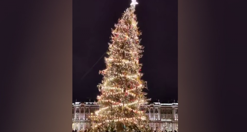 Главную елку Петербурга спасли тросами от сильного ветра