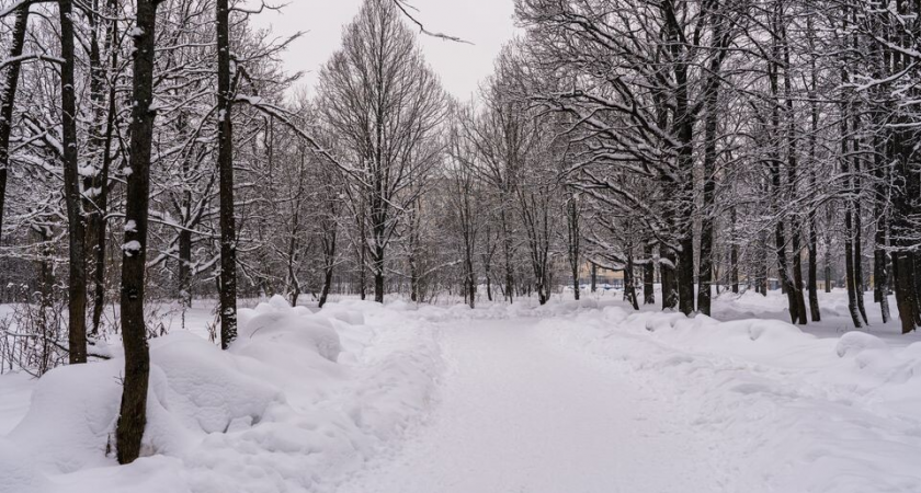 Москву накроет снегом на 25 см: синоптики обещают «классическую» зиму на праздниках