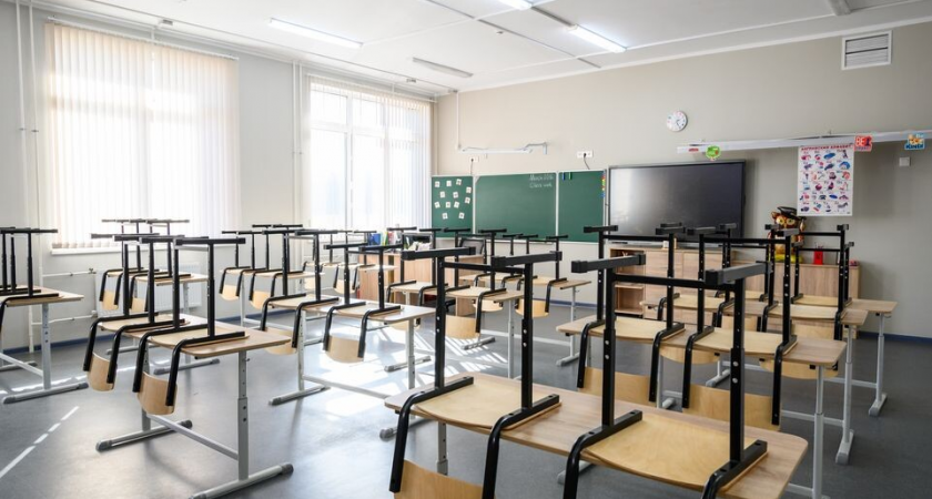 Домодедово: ученик и его друг готовили атаку с ножами и топорами