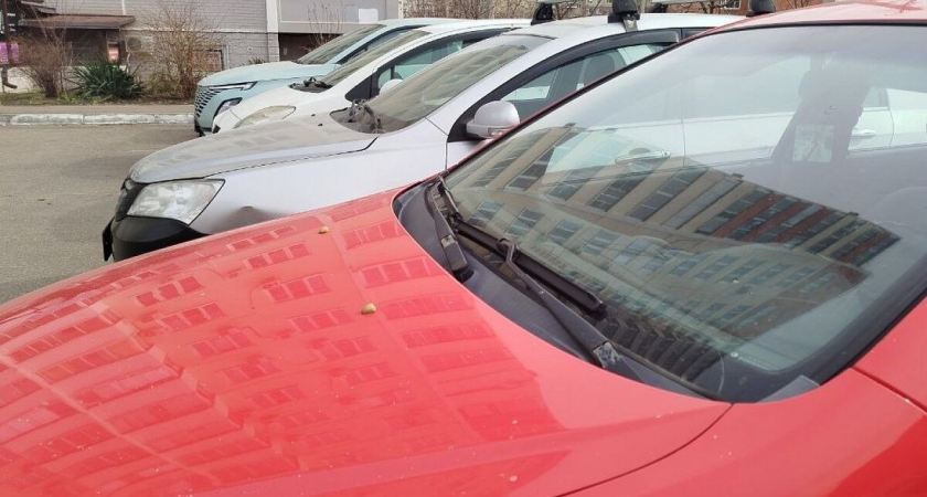 Грузия молча разворачивает россиян с освобождённых территорий на границе