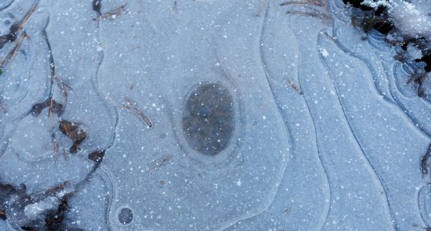 Двухметровый фаллос вместо лошади: балашихинцы посмеялись над снежным творчеством