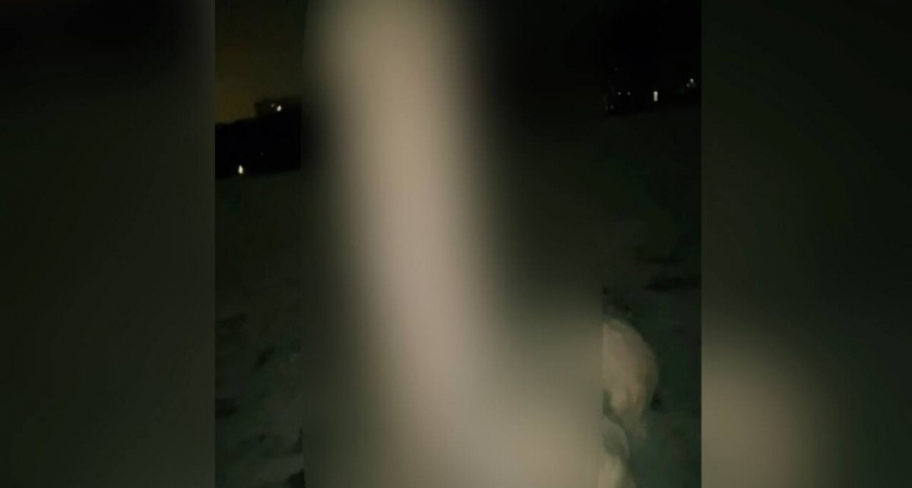 Двухметровый фаллос из снега: юрист назвал реальные последствия для автора