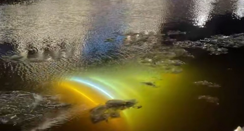 Светящаяся елка упала в Мойку, но иллюминация чудом продолжала светить