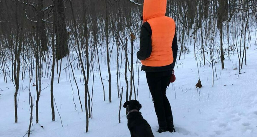 Отец и 16-летний сын потеряны в лесу: вертолёты и дроны ищут с ночи