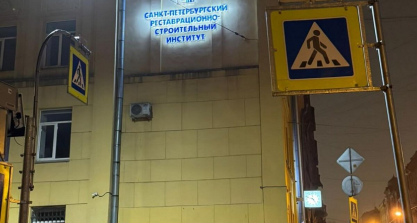 Ректор петербургского института создал канал незаконной миграции для продажи мест