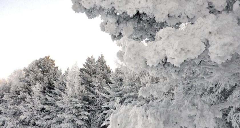 «Арктический эксперимент»: инструкторы выжили в палатке при -43°C на Торгашинском хребте Красноярска