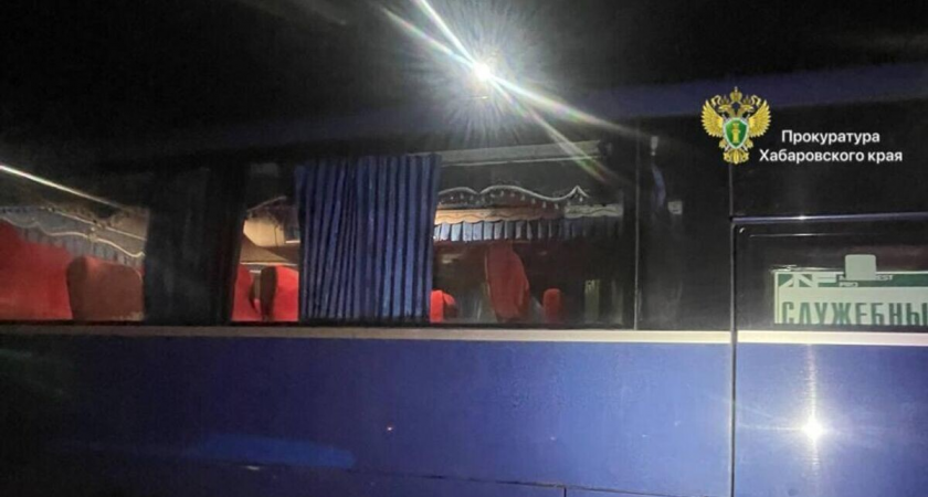 19-летний хабаровчанин обстрелял автобус с рабочими из пневматики «ради эксперимента»