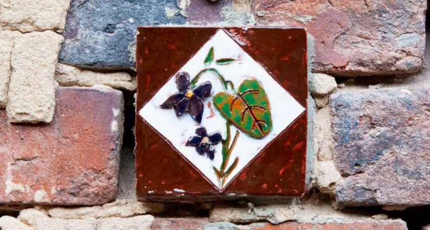 Секретные стражи: как фиалки спасали жизни на Балашихинской фабрике от невидимой хлопковой смерти