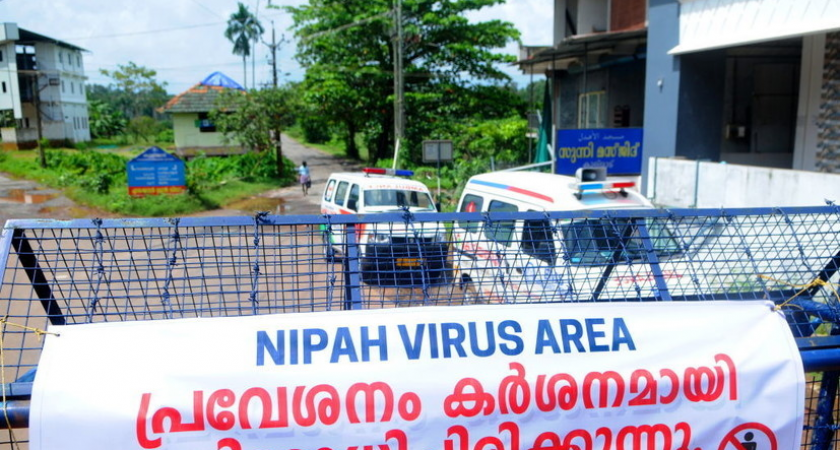 Смертельный вирус Нипах поразил 5 медиков в Индии: власти ввели карантин для 100 человек