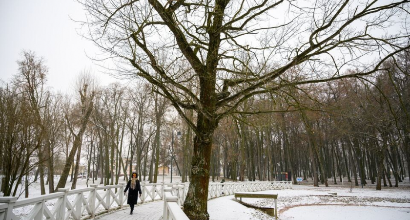 −30,3°C в Черустах: Арктический мороз сковал Подмосковье с рекордами на юго-востоке