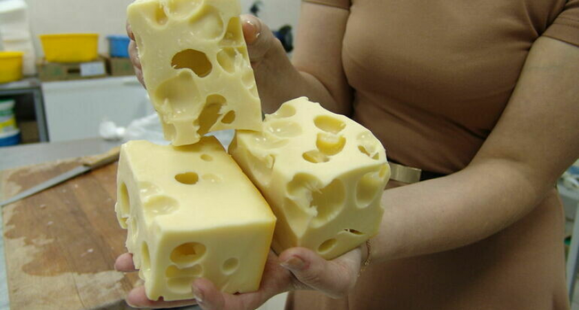 Рекордсмены подделок: каждый седьмой сыр в России оказался фальсификатом по данным Роскачества