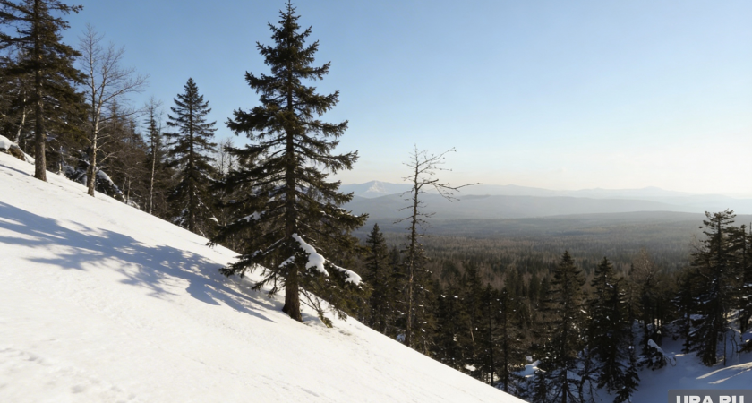15-летний лыжник исчез в районе горы Семибратка: в «Таганае» третьи сутки ищут Владислава Ласточкина