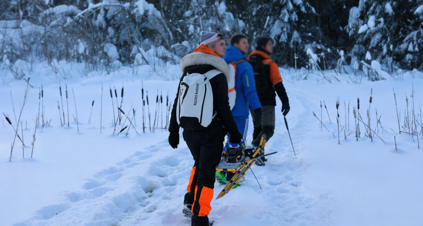 Сотни километров от дома: пропавшую петербурженку с двумя дочками нашли живой во Владимирской области