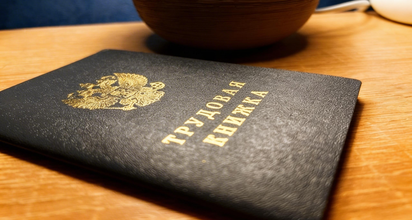 Зарплаты от 100 тысяч и 60 тысяч вакансий: в Петербург вернулись 3 тысячи участников СВО