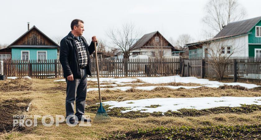 Дачников предупреждают: новые правила позволят государству забирать участки за нарушения