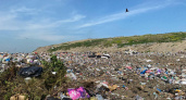 В Новосибирске мужчина убил и расчленил знакомую после застолья