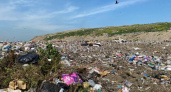 В Новосибирске мужчина убил и расчленил знакомую после застолья