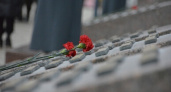 Семь жителей Саратовской области погибли в ходе СВО