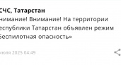 В Татарстане объявлен режим "Беспилотная опасность"