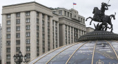 Миронов предложил выдворять мигрантов из России за мелкое хулиганство