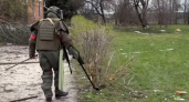 В Курской области обнаружили советские мины ПТМ-3 с магнитными датчиками, замаскированные под березовые бревна