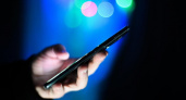 Мошенники используют образы медийных персон и Telegram-каналы для кражи денег под видом "заработка на Wildberries"