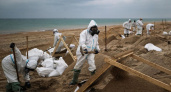 Разлив мазута у берегов Анапы не убил экосистему Черного моря — экспедиция РАН
