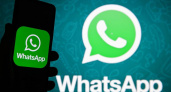 Глава комитета Госдумы Боярский отказался назвать сроки блокировки WhatsApp* в России