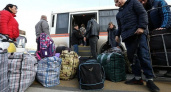 Жители села отказались принимать беженцев из-за 11 собак и 34 кошек