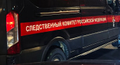 Дерево упало на секретаря "Газпрома" в Дербенте: 37-летняя туристка погибла у Джума-мечети