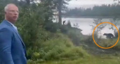 Медведь с медвежонком встретил делегацию Путина на Аляске: глава РФПИ снял на видео
