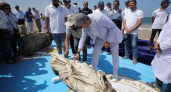 Со дна Средиземного моря подняли статуи фараонов и сфинкса Рамзеса II возрастом 2000 лет