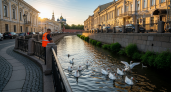 В Таиланде 10 гусей запустили очищать городской ров от водорослей, но критики предупреждают об ухудшении воды