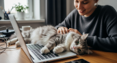 Рыжий котёнок — почти всегда мальчик: 3 тайных признака, которые выдают пол без осмотра