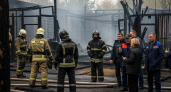 Пожар в новосибирском зоопарке унес жизни пяти животных: погибли коровы, ламы и альпака