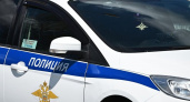 Житель Приморья с частями краснокнижного амурского тигра в багажнике заявил, что "просто нашел их"