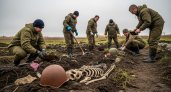 Под Калугой нашли 106 солдат ВОВ, которых искали 20 лет под просёлочной дорогой