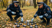 В Нижнем Новгороде полицейские нашли 59 тайников с наркотиками, замаскированных под камни