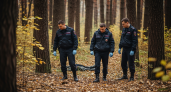 Перепутал с диким зверем: сборщик шишек застрелил человека в лесу ХМАО