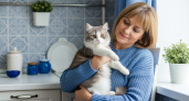 Кошка готовится к уходу: 7 тайных знаков, которые она подаёт только самым внимательным хозяевам
